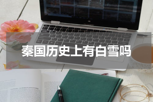 秦国历史上有白雪吗