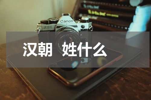 汉朝  姓什么