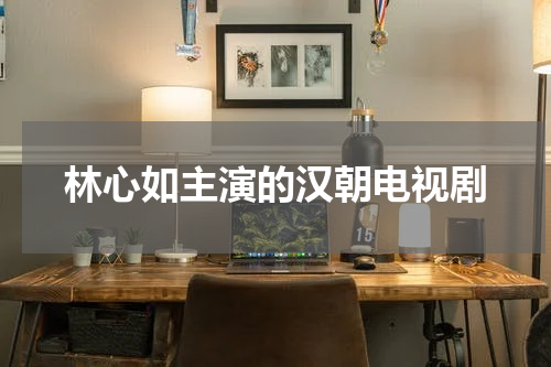林心如主演的汉朝电视剧