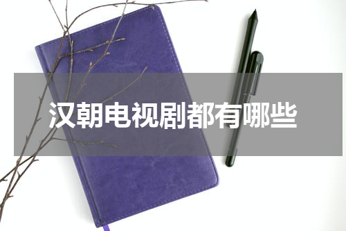汉朝电视剧都有哪些