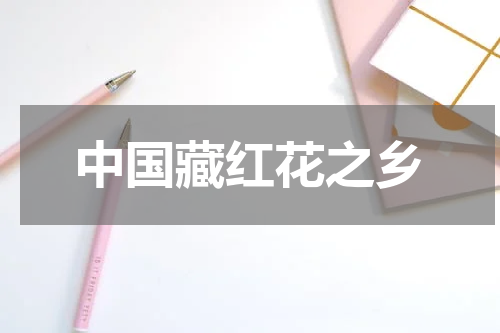 中国藏红花之乡