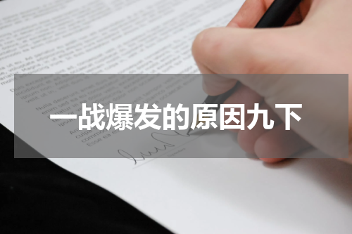 一战爆发的原因九下