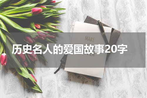 历史名人的爱国故事20字