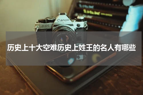 历史上十大空难历史上姓王的名人有哪些
