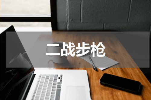 二战步枪
