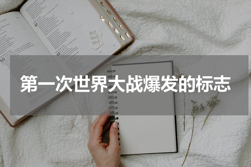 第一次世界大战爆发的标志