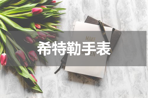 希特勒手表