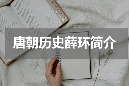 唐朝历史薛环简介