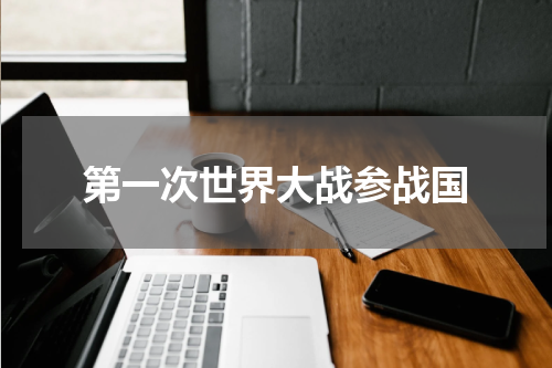 第一次世界大战参战国