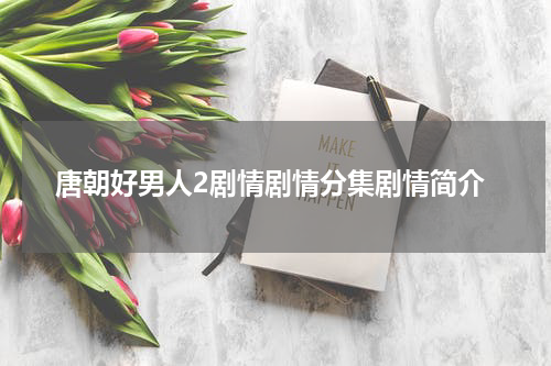 唐朝好男人2剧情剧情分集剧情简介