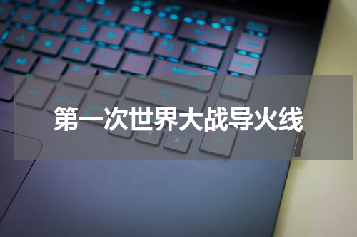 第一次世界大战导火线