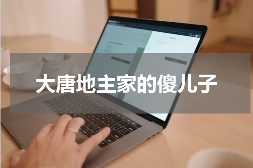 大唐地主家的傻儿子