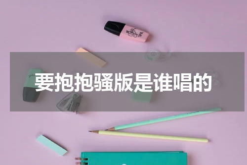 要抱抱骚版是谁唱的