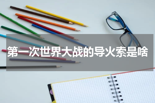 第一次世界大战的导火索是啥