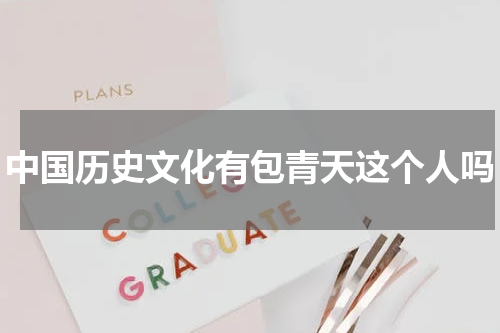 中国历史文化有包青天这个人吗