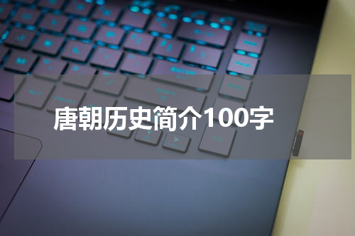 唐朝历史简介100字