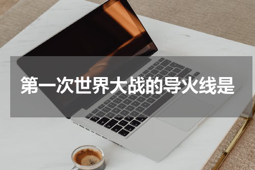 第一次世界大战的导火线是