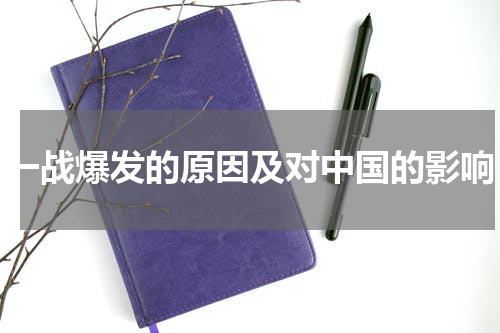 一战爆发的原因及对中国的影响