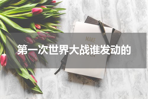 第一次世界大战谁发动的