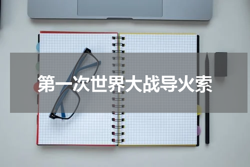 第一次世界大战导火索