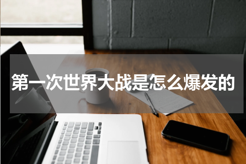 第一次世界大战是怎么爆发的