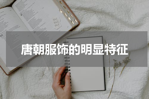 唐朝服饰的明显特征