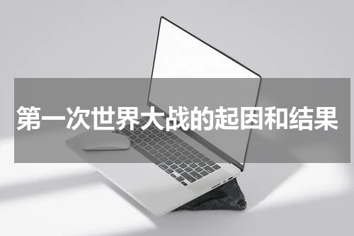 第一次世界大战的起因和结果
