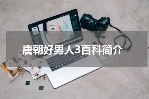 唐朝好男人3百科简介