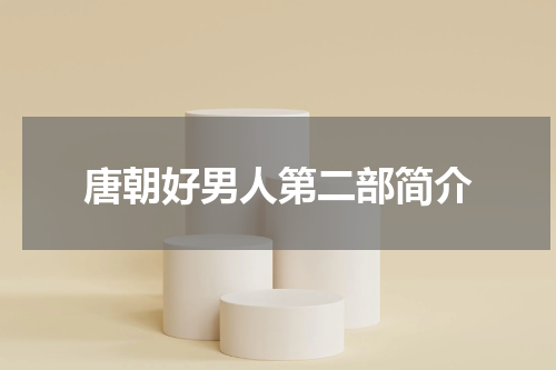 唐朝好男人第二部简介