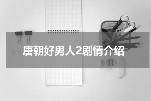 唐朝好男人2剧情介绍
