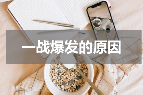 一战爆发的原因