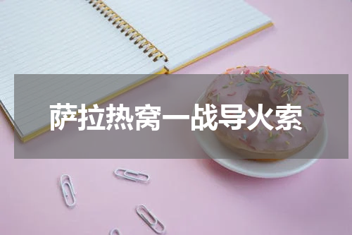 萨拉热窝一战导火索