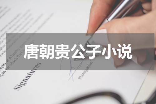 唐朝贵公子小说
