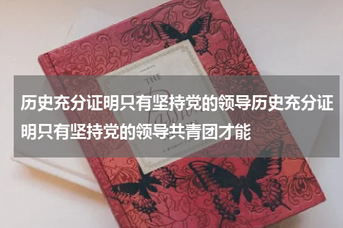 历史充分证明只有坚持党的领导历史充分证明只有坚持党的领导共青团才能