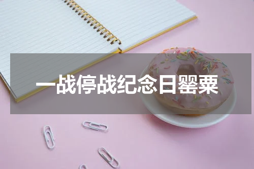 一战停战纪念日罂粟