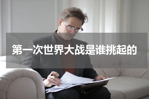 第一次世界大战是谁挑起的