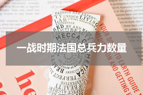 一战时期法国总兵力数量