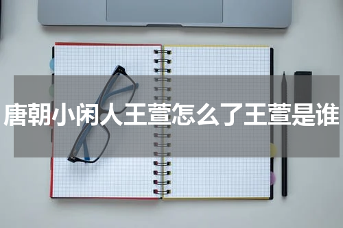 唐朝小闲人王萱怎么了王萱是谁