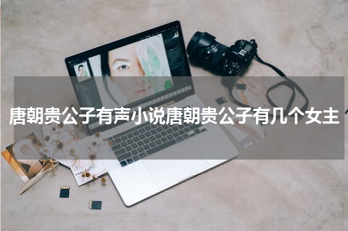 唐朝贵公子有声小说唐朝贵公子有几个女主