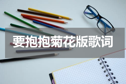 要抱抱菊花版歌词