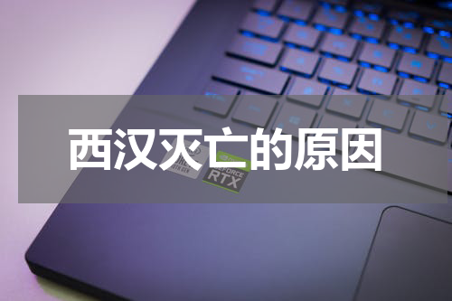 西汉灭亡的原因
