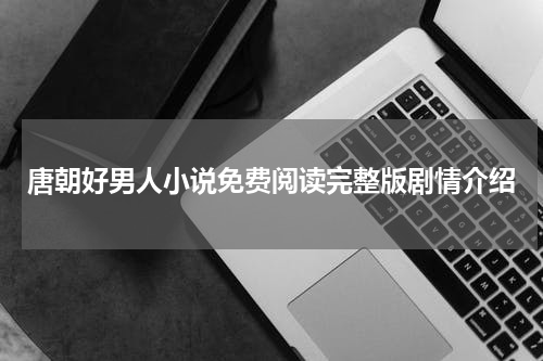 唐朝好男人小说免费阅读完整版剧情介绍