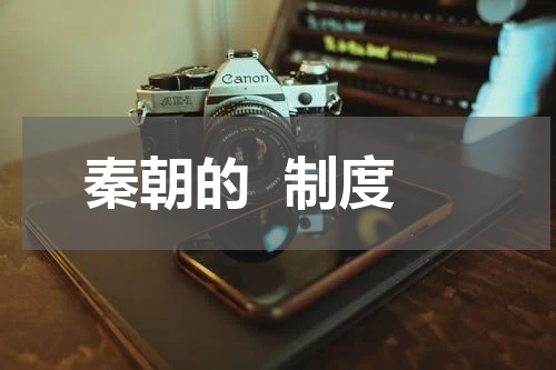 秦朝的  制度