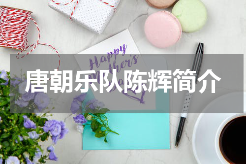 唐朝乐队陈辉简介