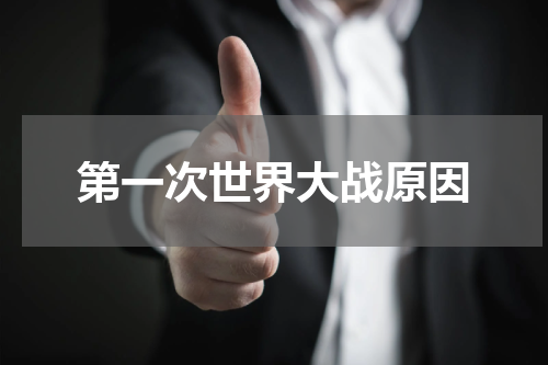 第一次世界大战原因
