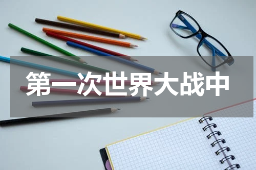 第一次世界大战中