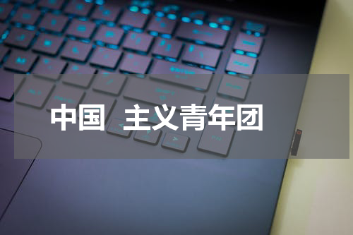 中国  主义青年团