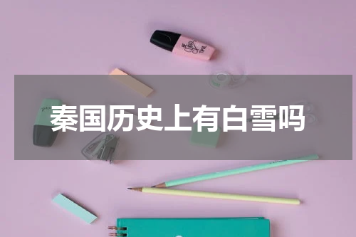秦国历史上有白雪吗