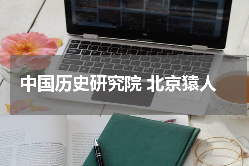 中国历史研究院 北京猿人