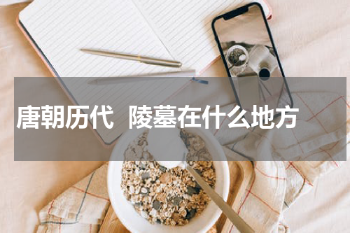 唐朝历代  陵墓在什么地方